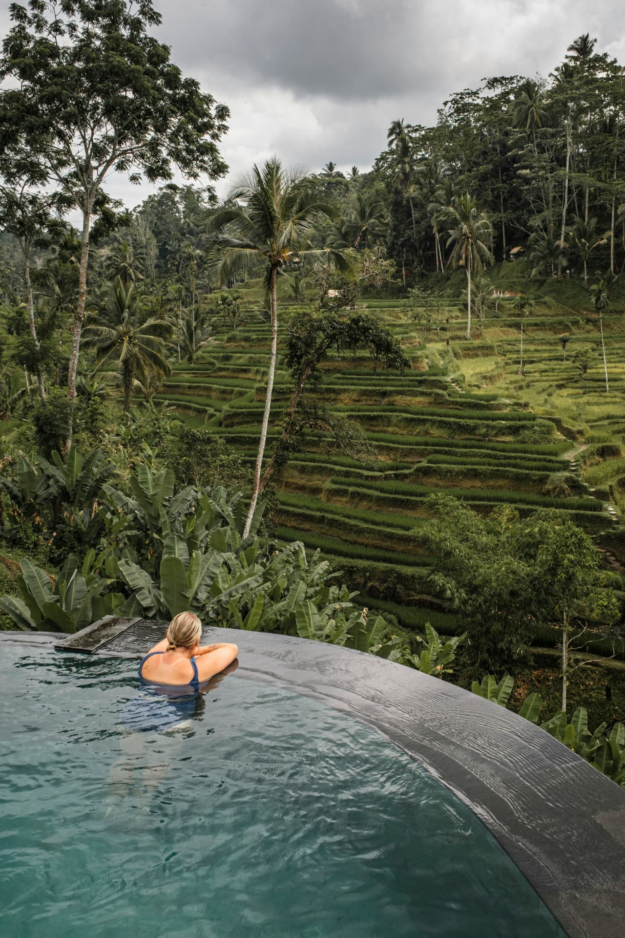 An infinity pool overlooking emerald rice terraces and palm jungle near Ubud, Bali