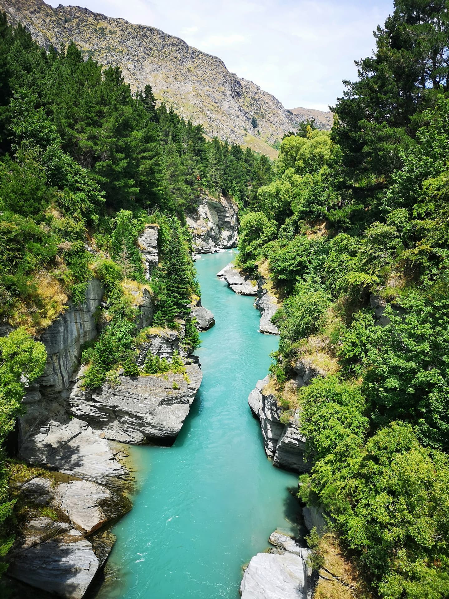 A turquoise river gorge flanked by forest and rocky cliffs in New Zealand