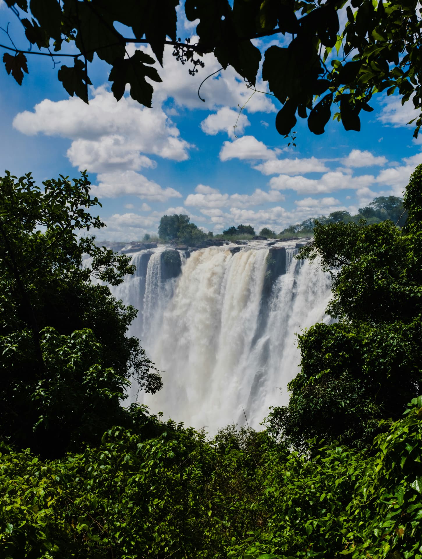 Victoria Falls framed by dense green foliage under a bright blue sky