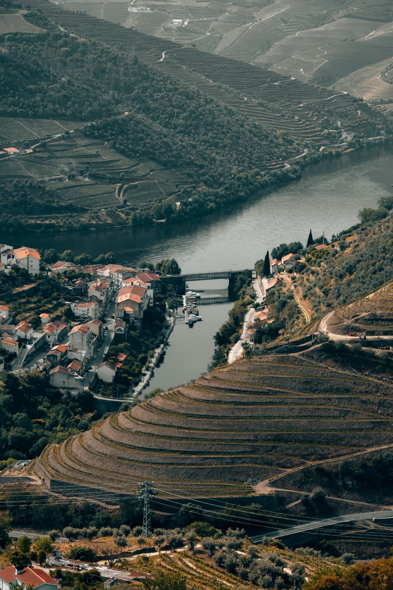Terraced Douro valley vineyards falling to the river and a village with terracotta roofs