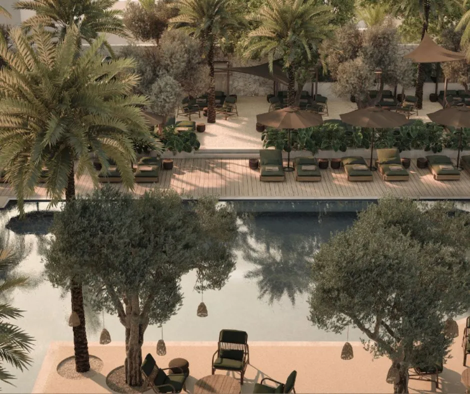 The main pool at Luura Cliff, olive trees, palms and loungers on the deck.