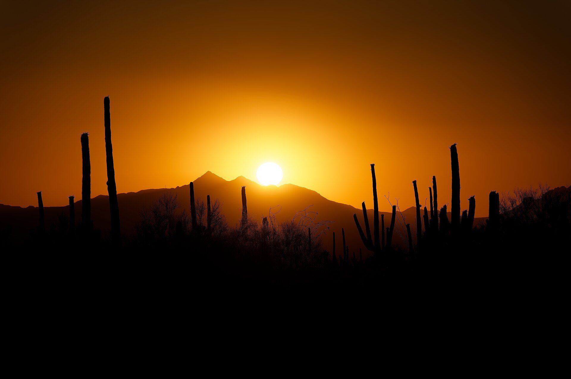 Sun setting behind the mountains over saguaro country in the Sonoran desert